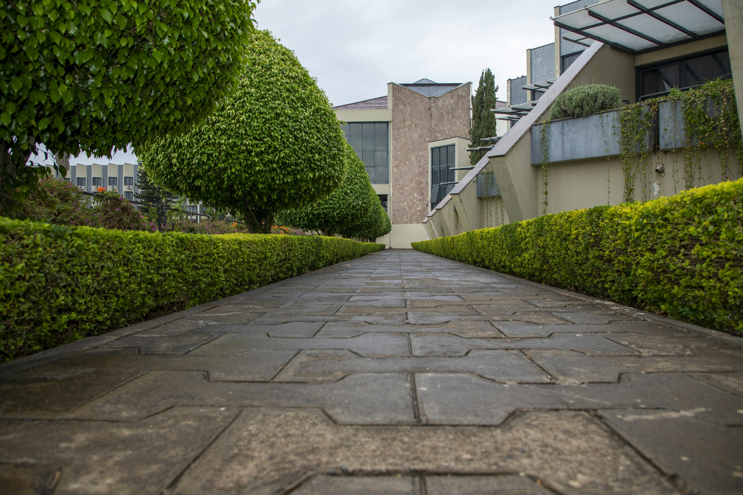 Jones Residence — 2014&ndash;15 award-winning project